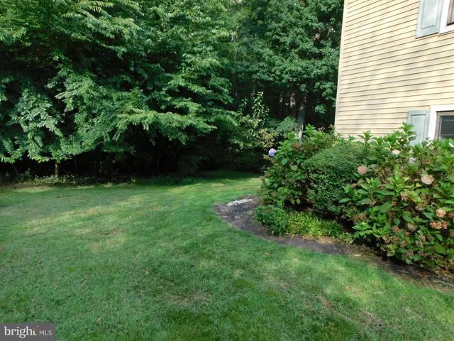 a view of green field with trees in the background