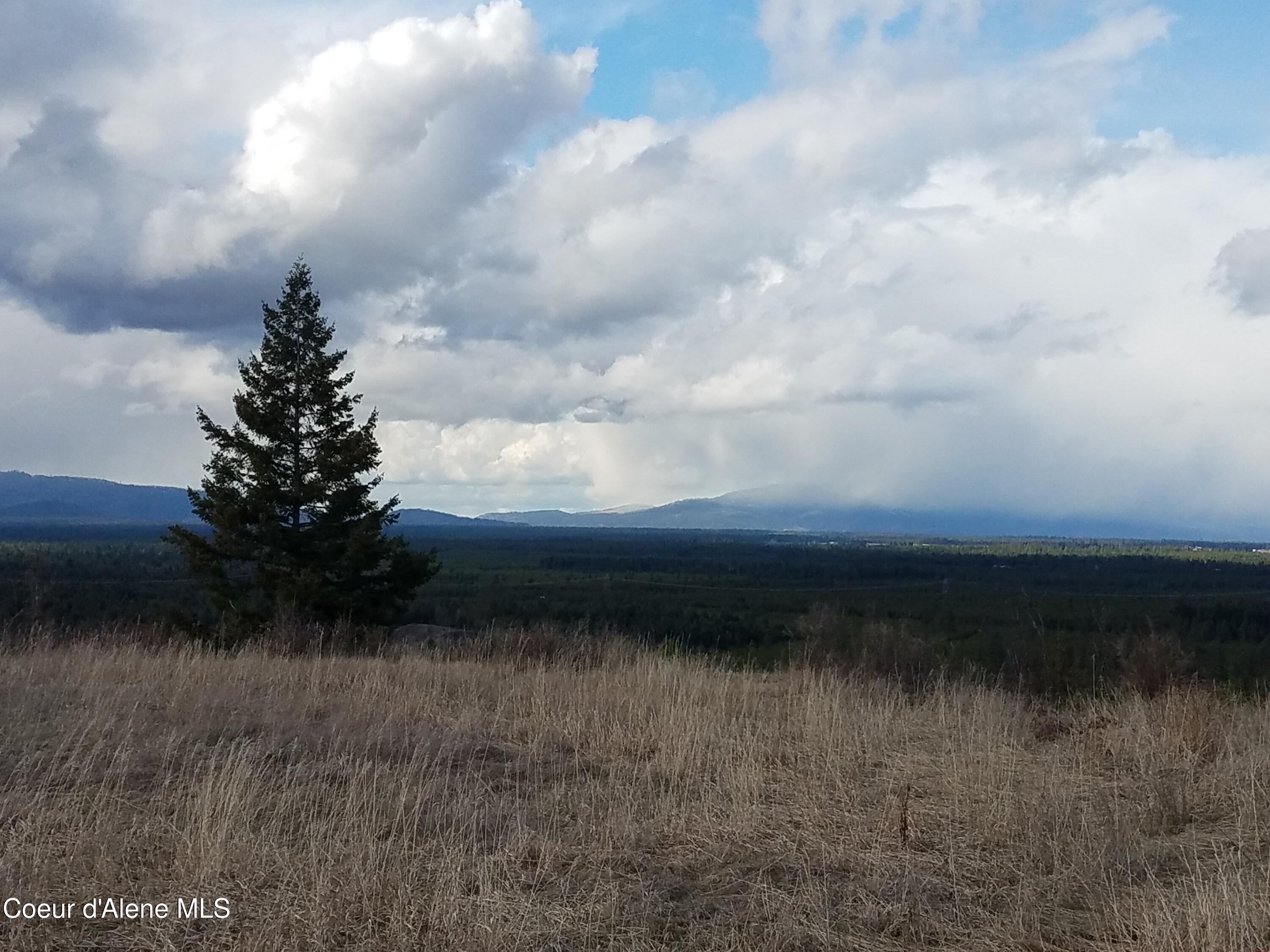 North Rimrock Road Hayden, ID 83835 - Photo 23 of 31 20210319_150621