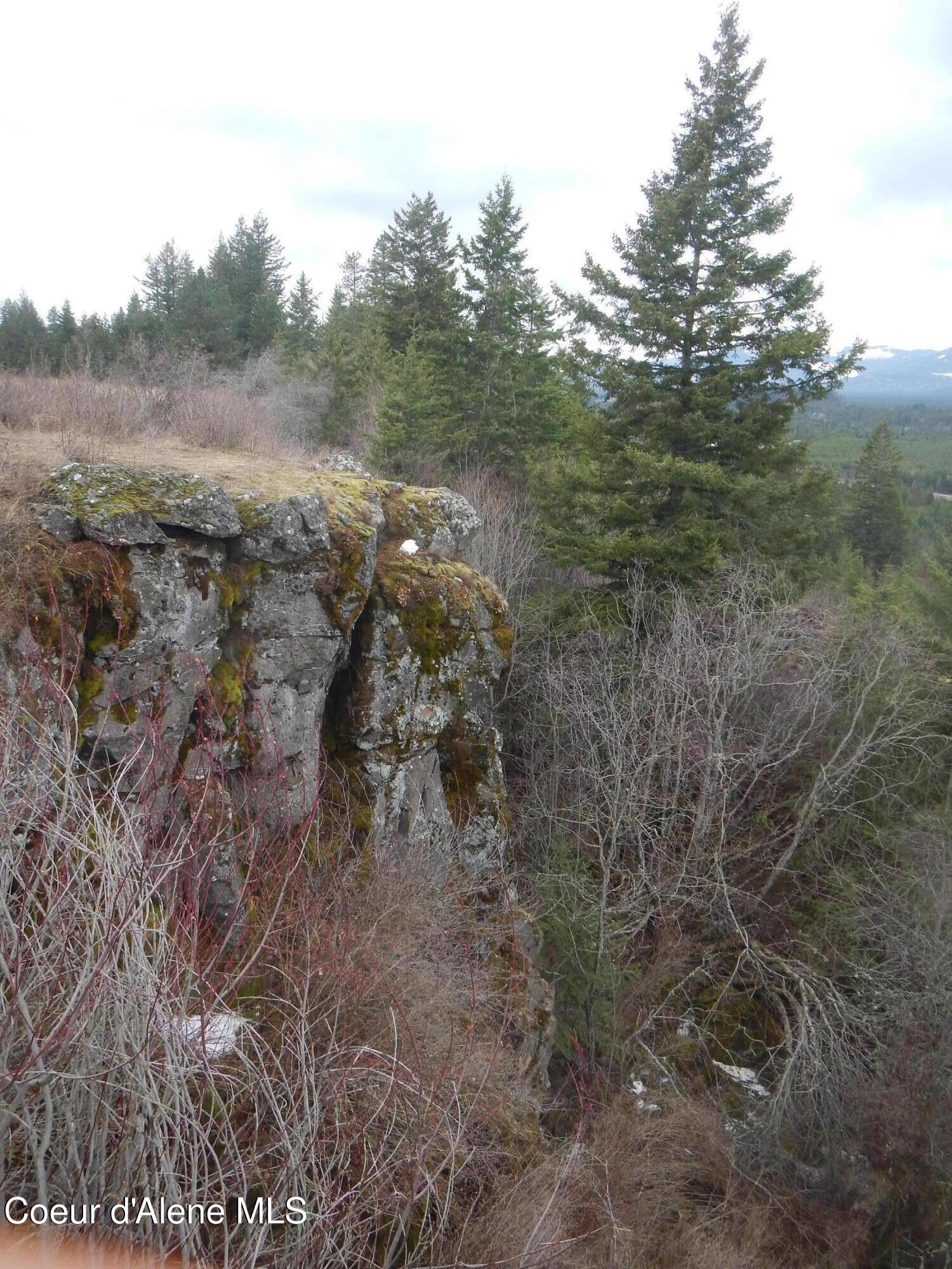 North Rimrock Road Hayden, ID 83835 - Photo 26 of 31 DSCN9220