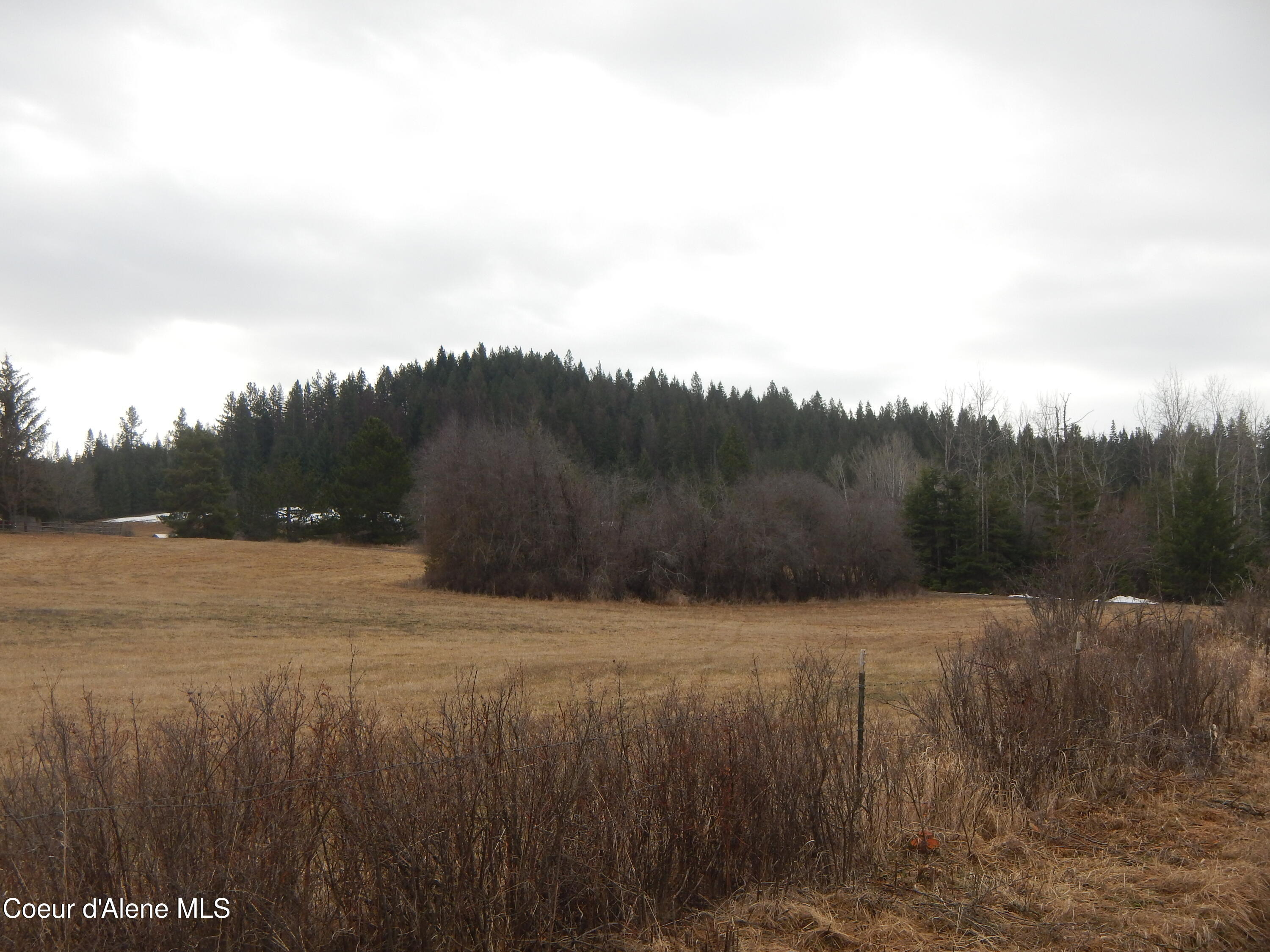 North Rimrock Road Hayden, ID 83835 - Photo 28 of 31 DSCN9215