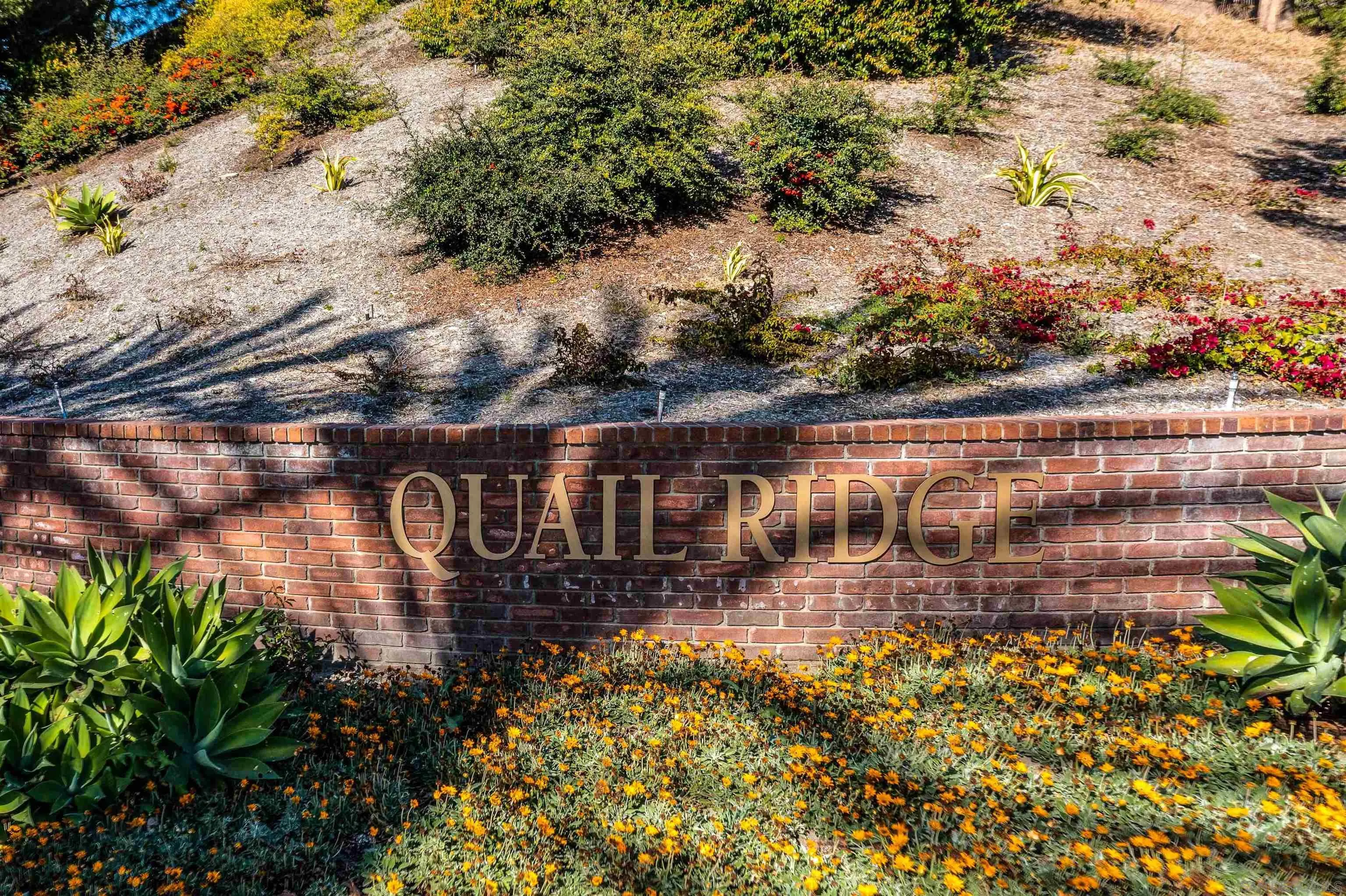 1460 Ravean Court Encinitas, CA 92024 - Photo 46 of 48 an aerial view of a house with a yard