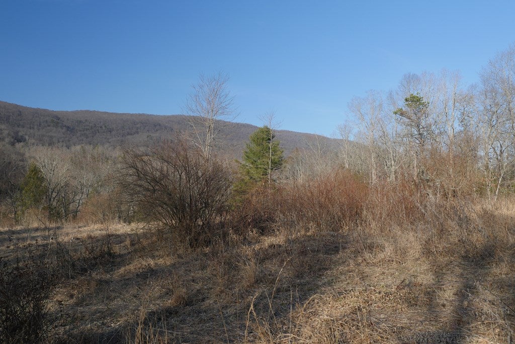 Tbd Poor Valley Road, Unit 118A9 Ceres, VA 24318 - Photo 10 of 38 Gallery Image 10