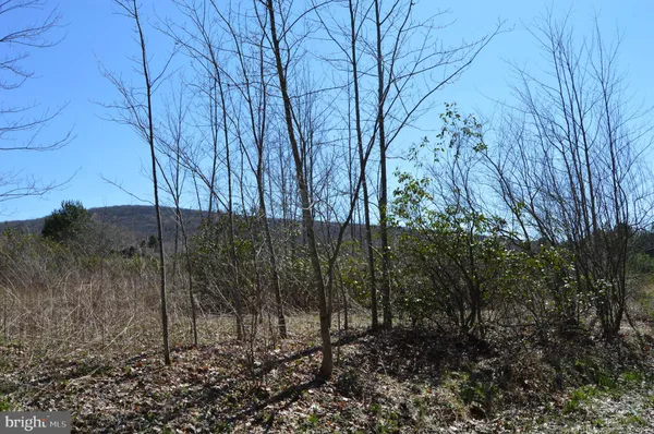$14,000 | 2 Grosbeak Drive, Terra Alta, WV 26764