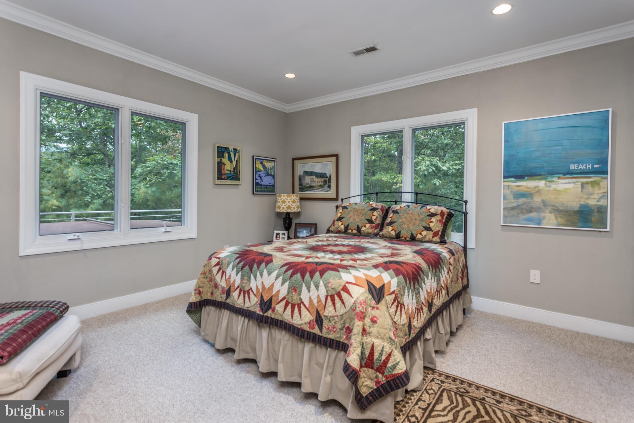 564 Montevideo Road Berkeley Springs, WV 25411 - Photo 34 of 71 Lower Level Bedroom #2