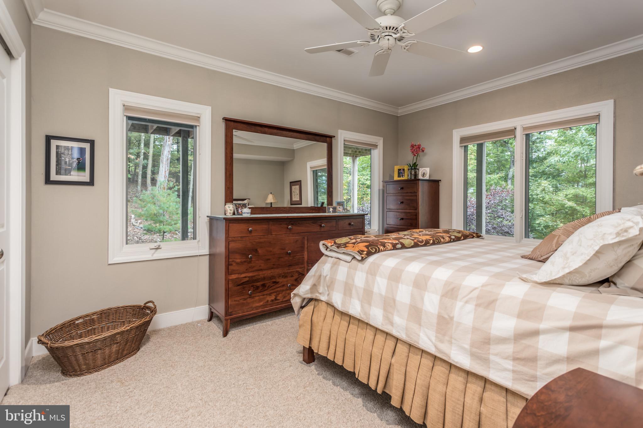 564 Montevideo Road Berkeley Springs, WV 25411 - Photo 40 of 71 Lower Level Bedroom #3