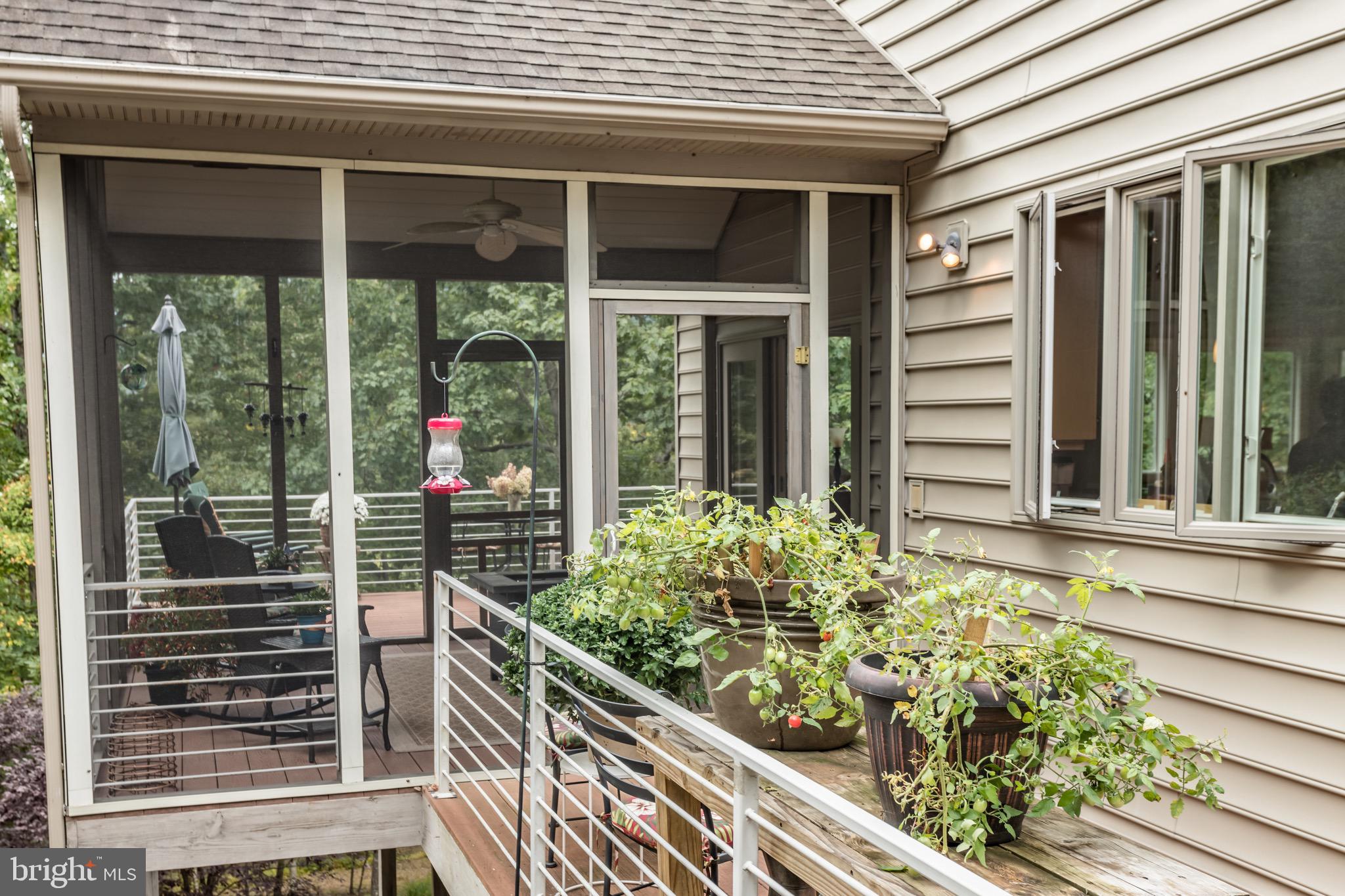 564 Montevideo Road Berkeley Springs, WV 25411 - Photo 52 of 71 Screened in Porch