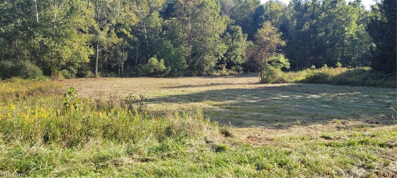 Mcfadden Road Freeport, OH 43973 - Photo 10 of 35 Gallery Image 10