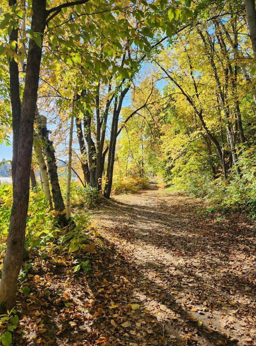 6324 Wilderness Road Pequot Lakes, MN 56472 - Photo 70 of 73