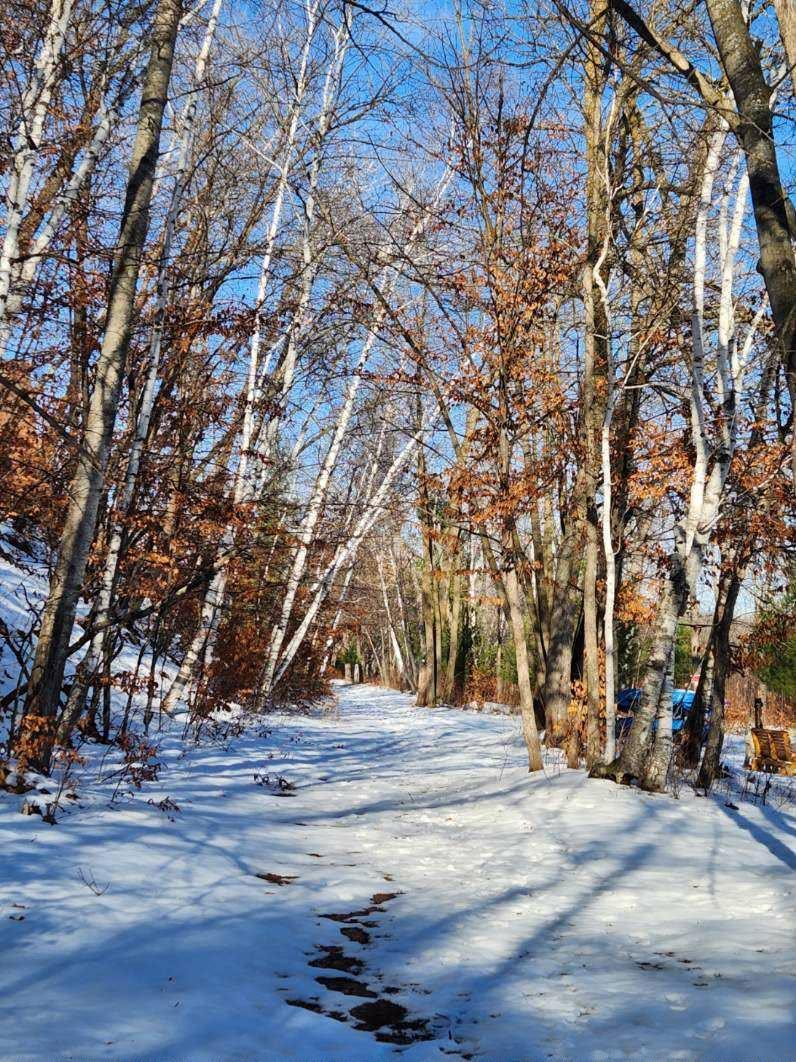 6324 Wilderness Road Pequot Lakes, MN 56472 - Photo 71 of 73