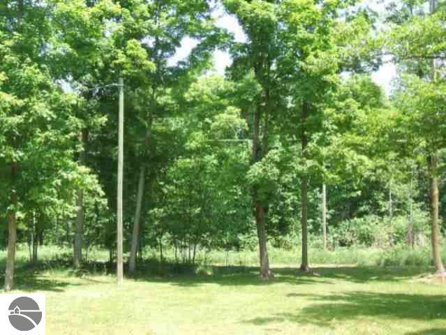 585 Hunter Ridge Marion, MI 49665 - Photo 4 of 9 1679523-3.JPG