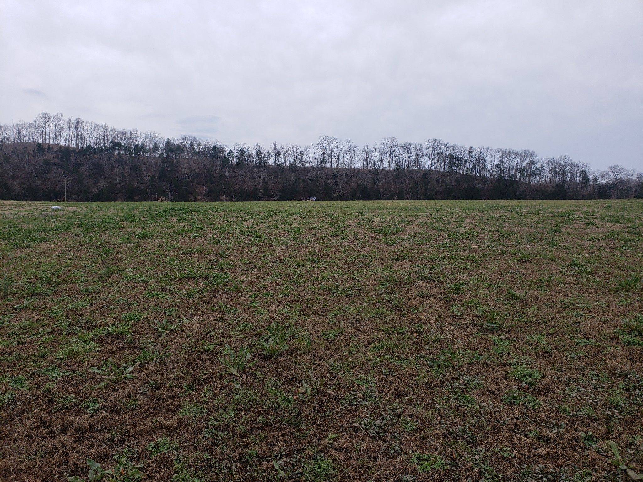 1365 Hardin Bottom Road Clifton, TN 38425 - Photo 1 of 8 Gallery Image 1