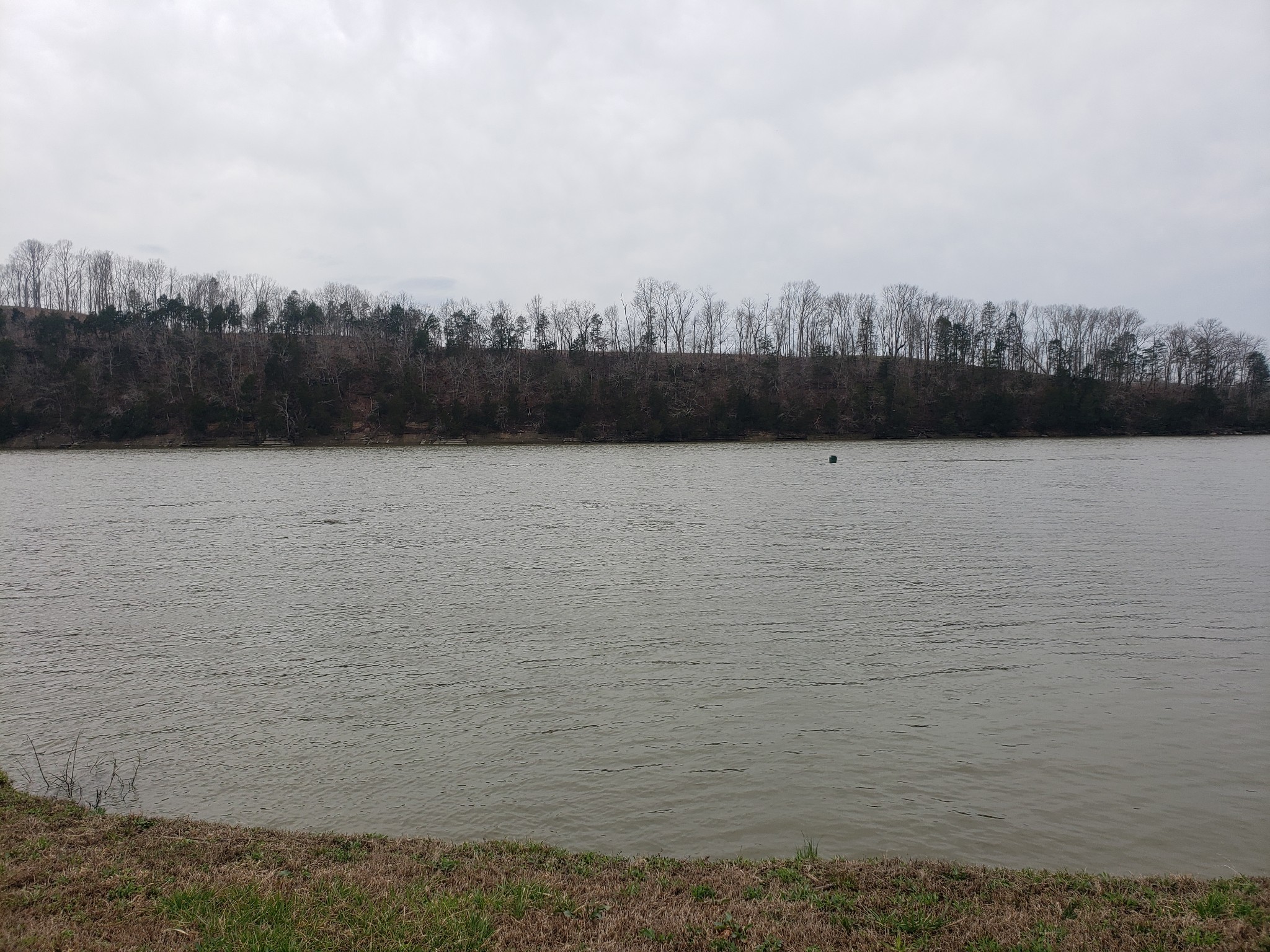 1365 Hardin Bottom Road Clifton, TN 38425 - Photo 4 of 8 Gallery Image 4