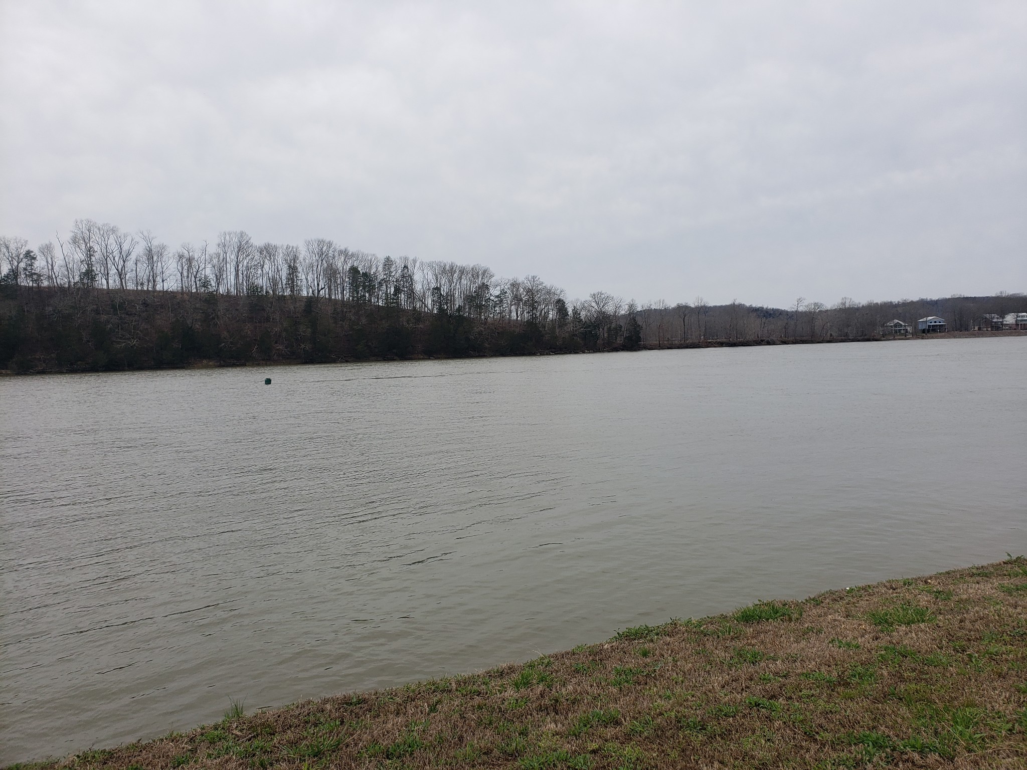 1365 Hardin Bottom Road Clifton, TN 38425 - Photo 6 of 8 Gallery Image 6