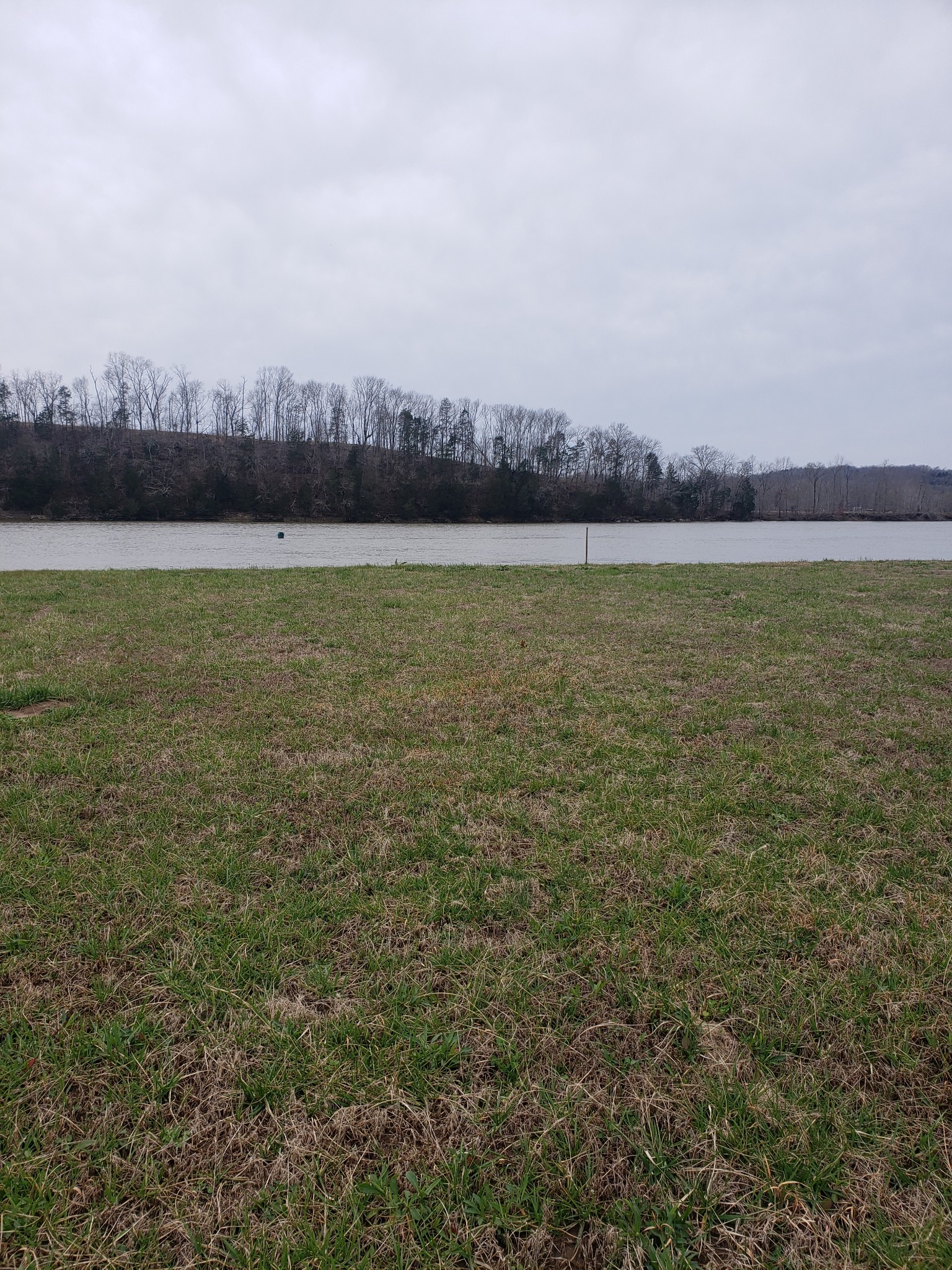 1365 Hardin Bottom Road Clifton, TN 38425 - Photo 8 of 8 Gallery Image 8