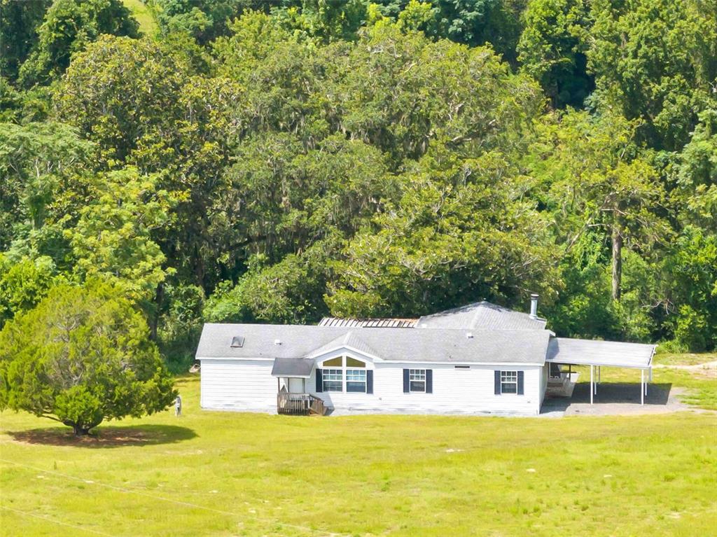 33320 Larkin Road Dade City, FL 33523 - Photo 5 of 60 a view of a house with a big yard and large trees