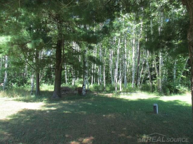 6393 Forester Road Carsonville, MI 48419 - Photo 33 of 34
