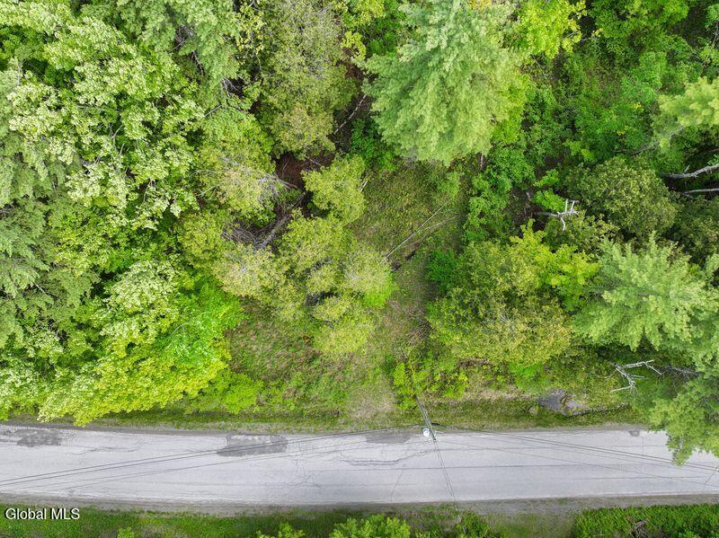 L2 Liddle Harris Road Putnam Station, NY 12861 - Photo 6 of 12 Bird's Eye View along Road Frontage
