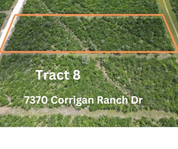 $50,000 | Undisclosed Address, Skidmore, TX 78389