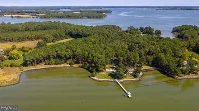 a view of a lake with a mountain