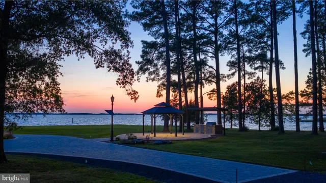 a view of a park with large trees