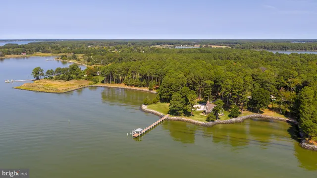 a view of a lake with a city
