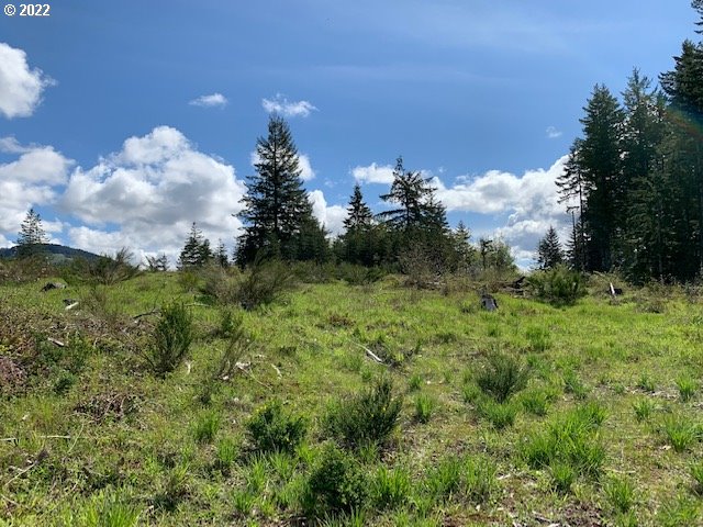 Howard Road Marcola, OR 97454 - Photo 3 of 5 Gallery Image 3