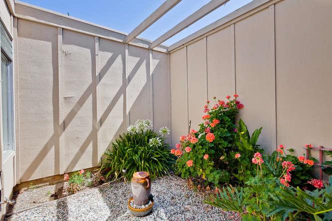 3795 Bucknall Road Campbell, CA 95008 - Photo 21 of 39 Gallery Image 21