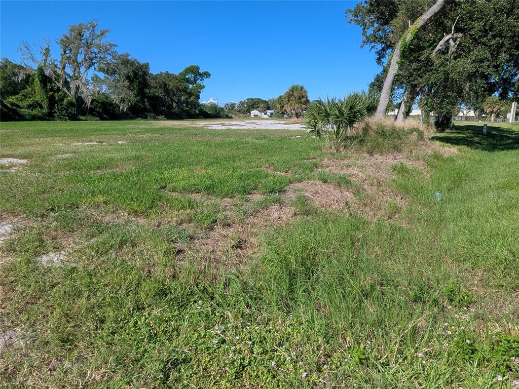 a view of a field of grass and trees