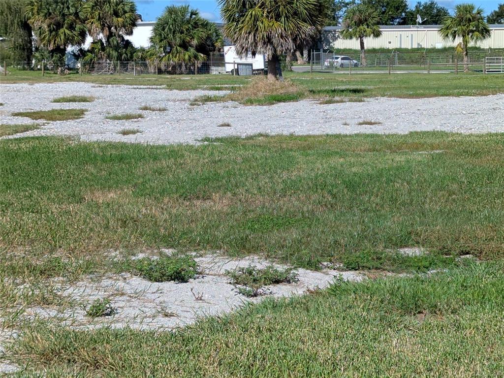 Southeast Carlstrom Field Road Arcadia, FL 34266 - Photo 12 of 14 a view of a garden with large trees