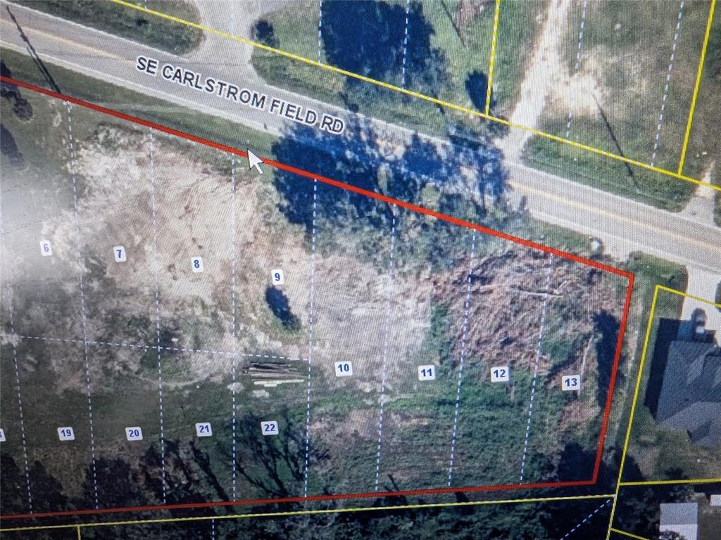 Southeast Carlstrom Field Road Arcadia, FL 34266 - Photo 2 of 14 a view of lot of trees
