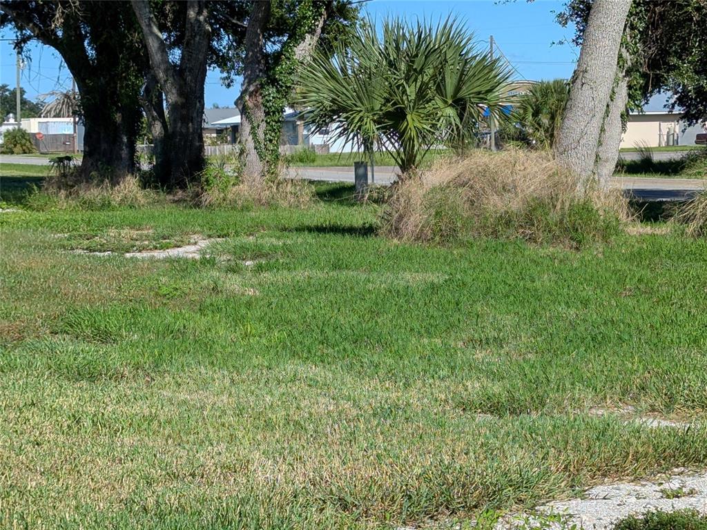 Southeast Carlstrom Field Road Arcadia, FL 34266 - Photo 8 of 14 a view of backyard with green space