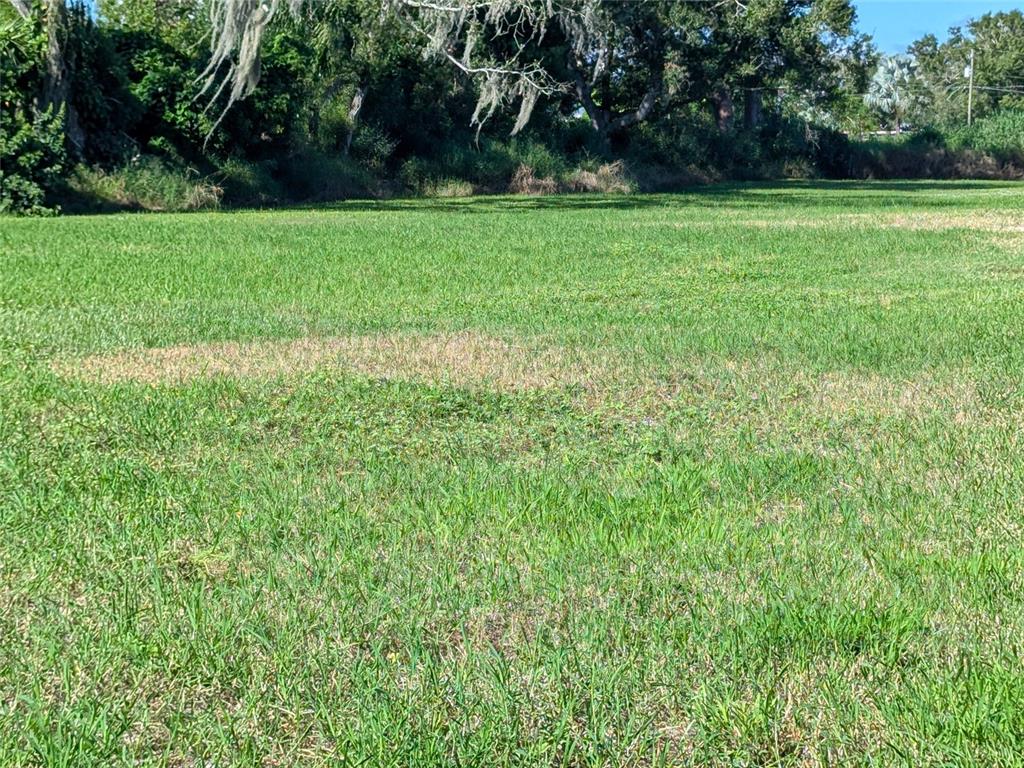 Southeast Carlstrom Field Road Arcadia, FL 34266 - Photo 9 of 14 a view of a green yard