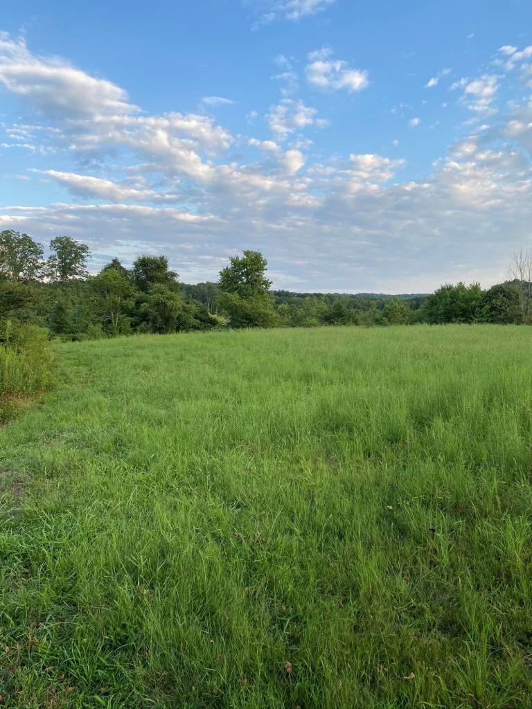182 County Road 65 Riceville, TN 37370 - Photo 14 of 37 Gallery Image 14
