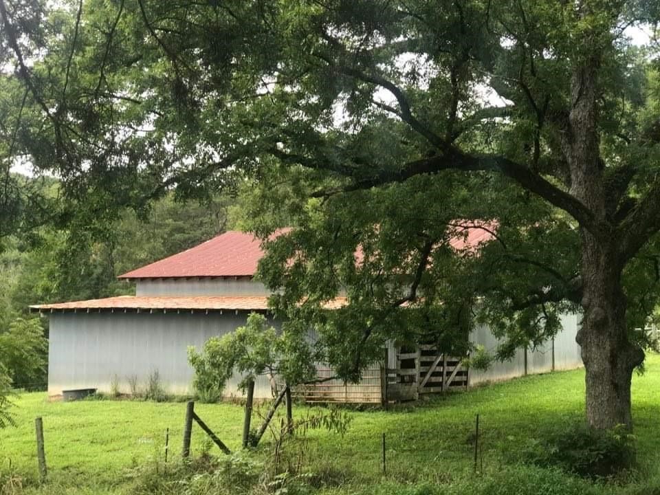 182 County Road 65 Riceville, TN 37370 - Photo 15 of 37 Gallery Image 15