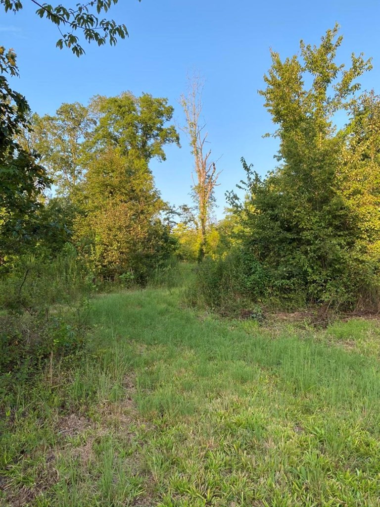 182 County Road 65 Riceville, TN 37370 - Photo 36 of 37 Gallery Image 36