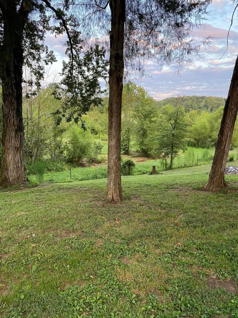 182 County Road 65 Riceville, TN 37370 - Photo 10 of 37 Gallery Image 10