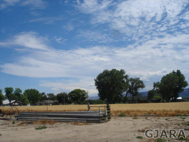 1049-19 19 1/2 Road Fruita, CO 81521 - Photo 3 of 9 a view of road with grass and trees