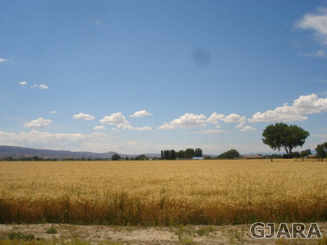 1049-19 19 1/2 Road Fruita, CO 81521 - Photo 7 of 9 a view of lake