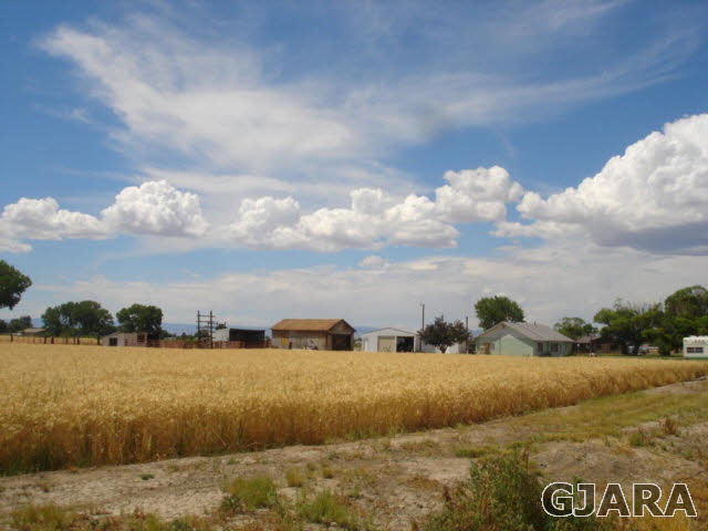 1049-19 19 1/2 Road Fruita, CO 81521 - Photo 8 of 9 a view of lake