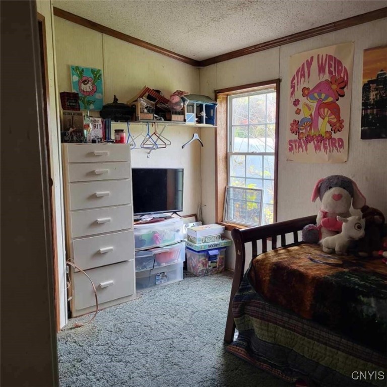 8935 Eddy Road Sullivan, NY 13032 - Photo 26 of 48