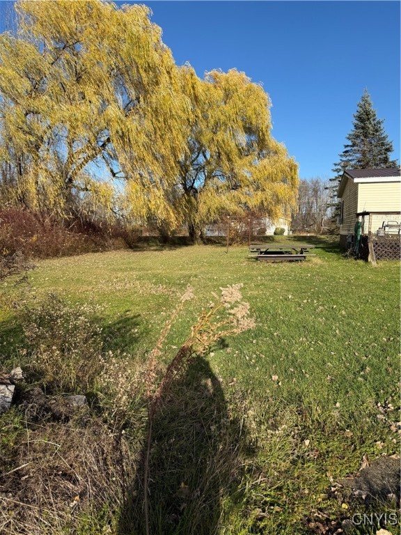 8935 Eddy Road Sullivan, NY 13032 - Photo 44 of 48 Side yard