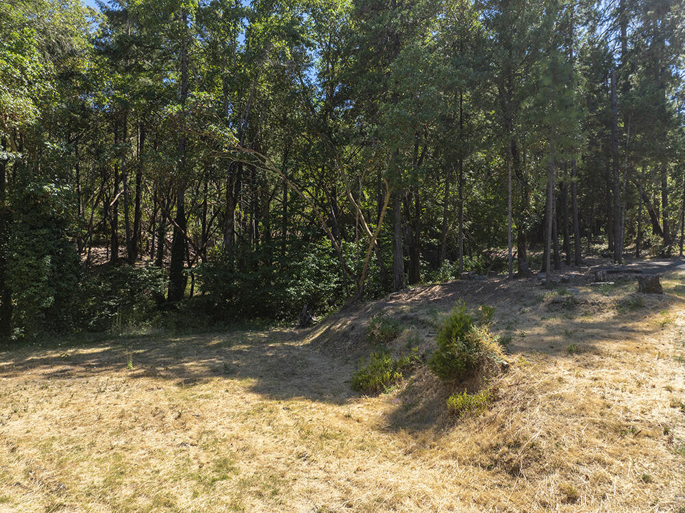 12959 Water Gap Road Williams, OR 97544 - Photo 38 of 51 41