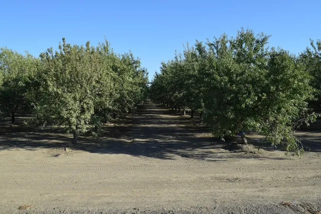 a view of outdoor space