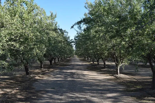 a view of street with trees