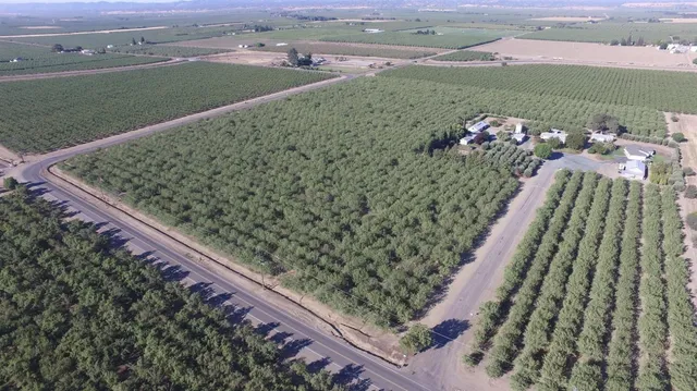 a view of a yard with an outdoor space
