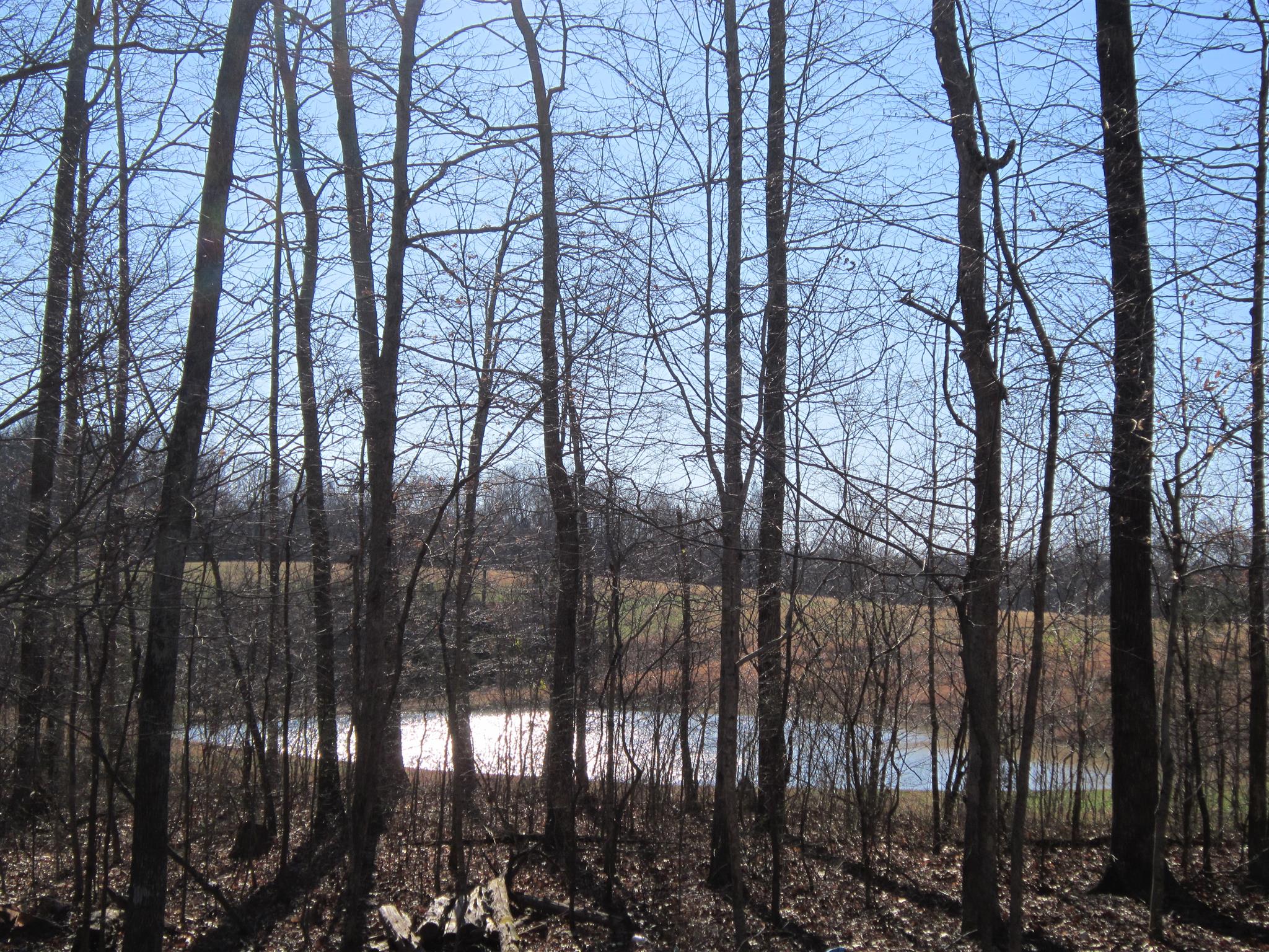 7919 East Plunders Creek Road Dickson, TN 37055 - Photo 19 of 21 view from your back deck pond is not on the property