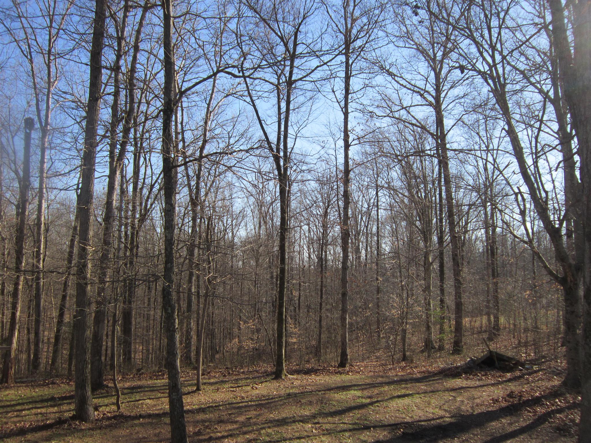7919 East Plunders Creek Road Dickson, TN 37055 - Photo 20 of 21 another view of the property
