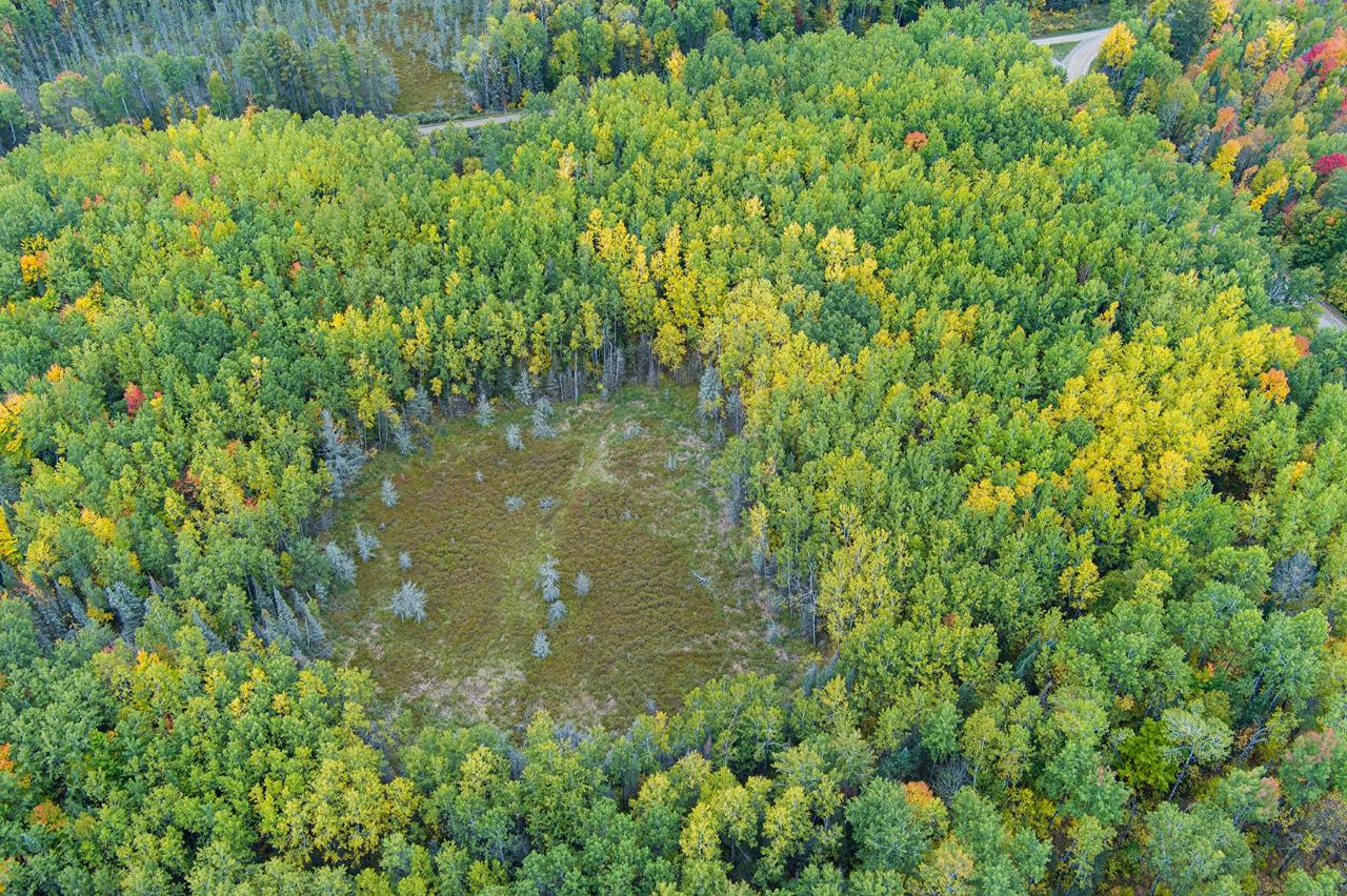 10680 Powers Dam Road Long Lake, WI 54542 - Photo 37 of 65 Gallery Image 37