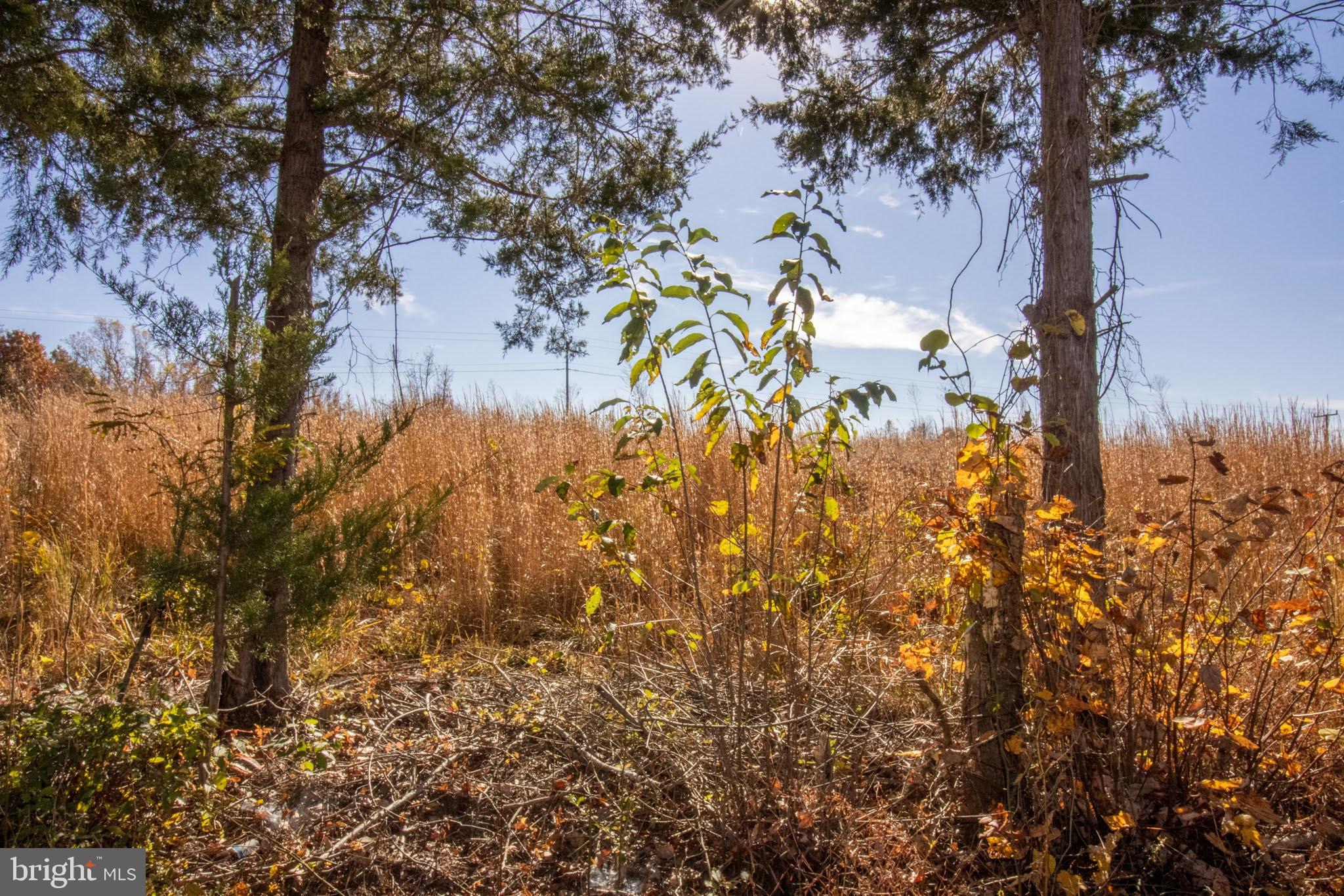 Tbd Piney Grove Road, Unit 21 Alton, VA 24520 - Photo 6 of 19