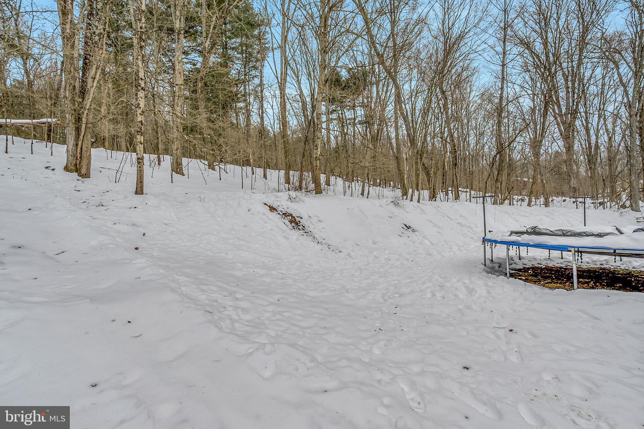 406 Reyburn Road Shickshinny, PA 18655 - Photo 45 of 45 Gallery Image 45